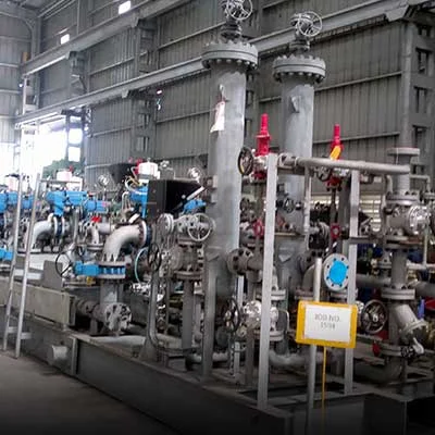 Skid Mounted Assemblies